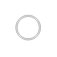 o-ring