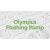 msr_olympus_flushing_pump